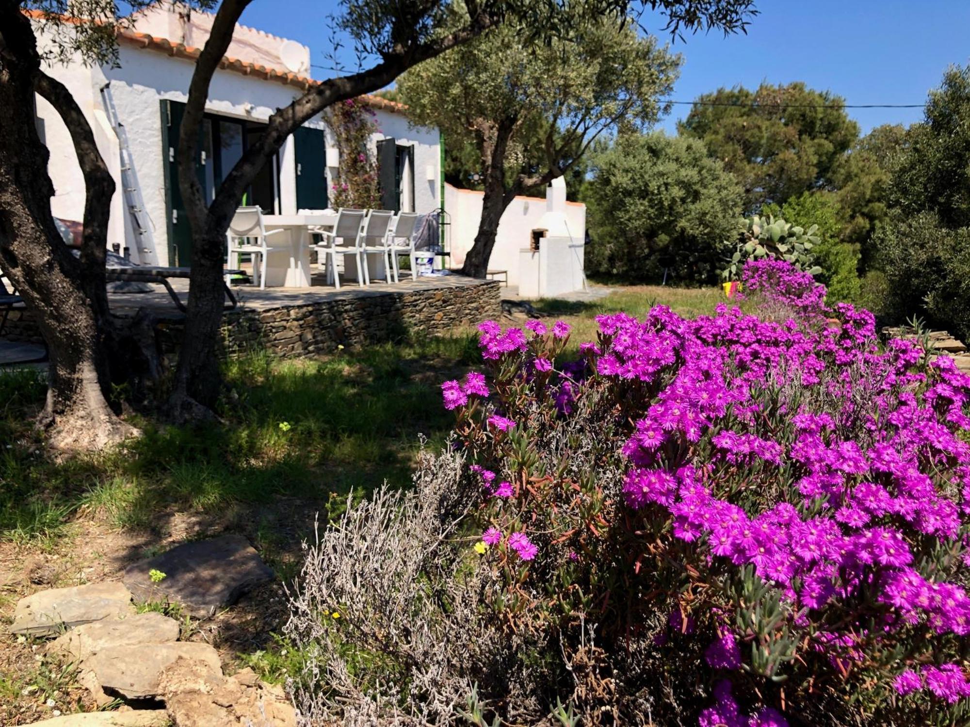 Maison De Pecheur Superbe Vue Mer, Grand Jardin カダケス エクステリア 写真
